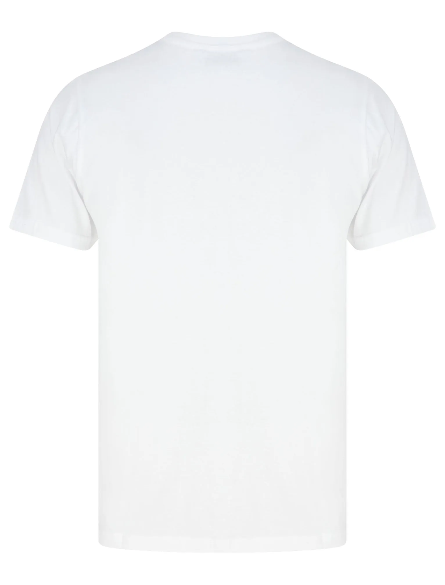 Bilton (5 Pack) Cotton Jersey Basic T-Shirt Set In Wine / Navy / Grey Marl / White / Black - Tokyo Laundry