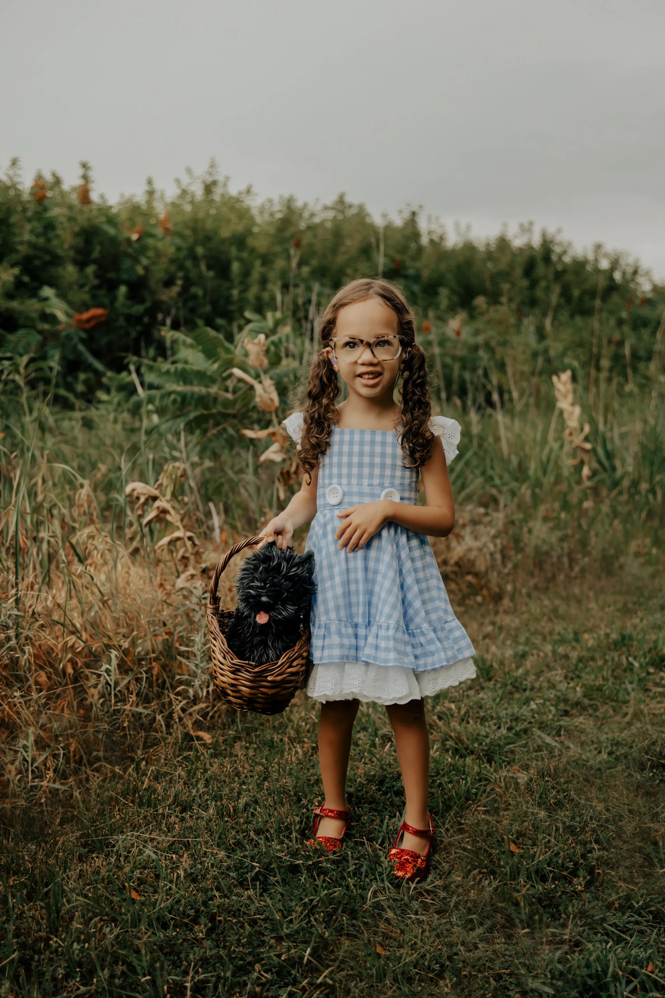 Dorothy pinafore Twirl dress