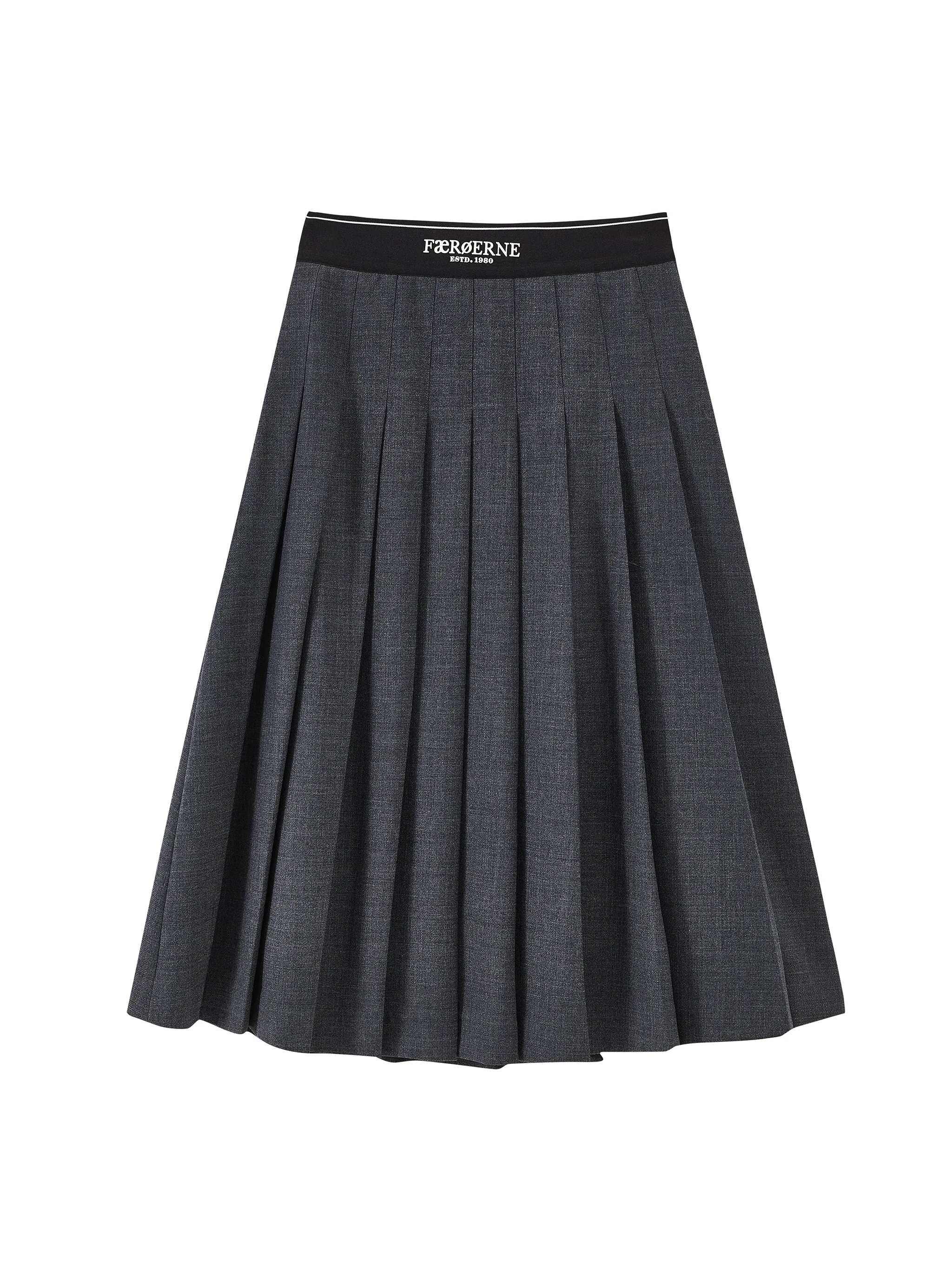 Elastic Waist Pleated Skirt