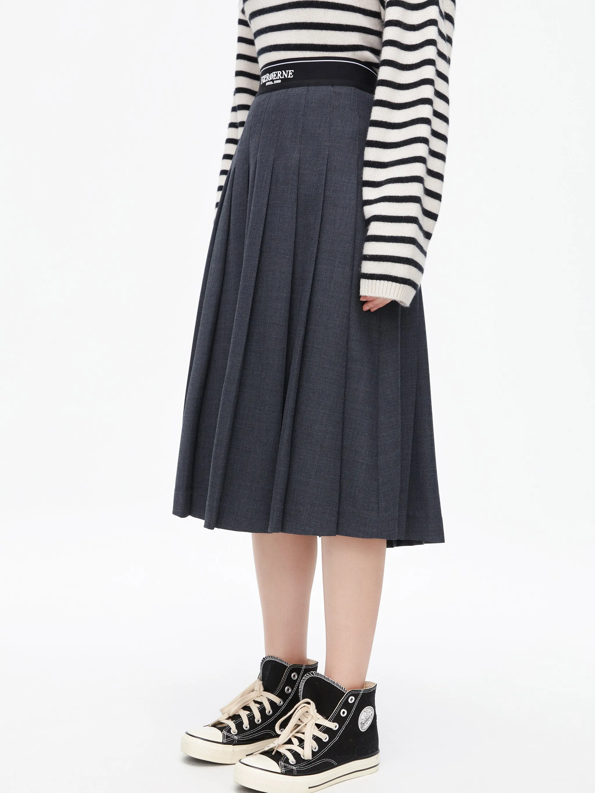 Elastic Waist Pleated Skirt